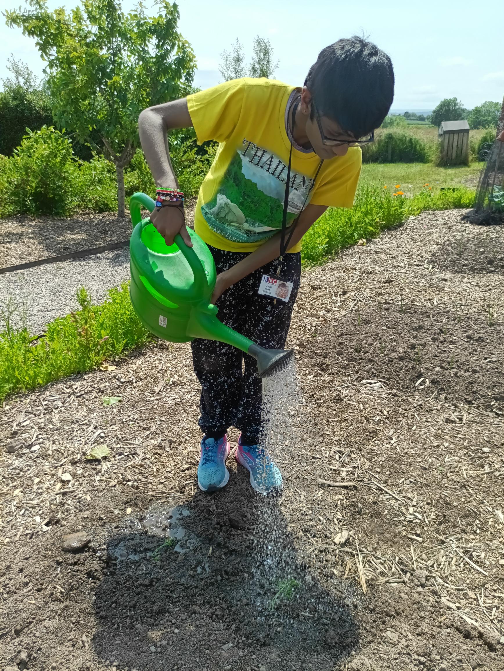 Getting hands on with the National Trust