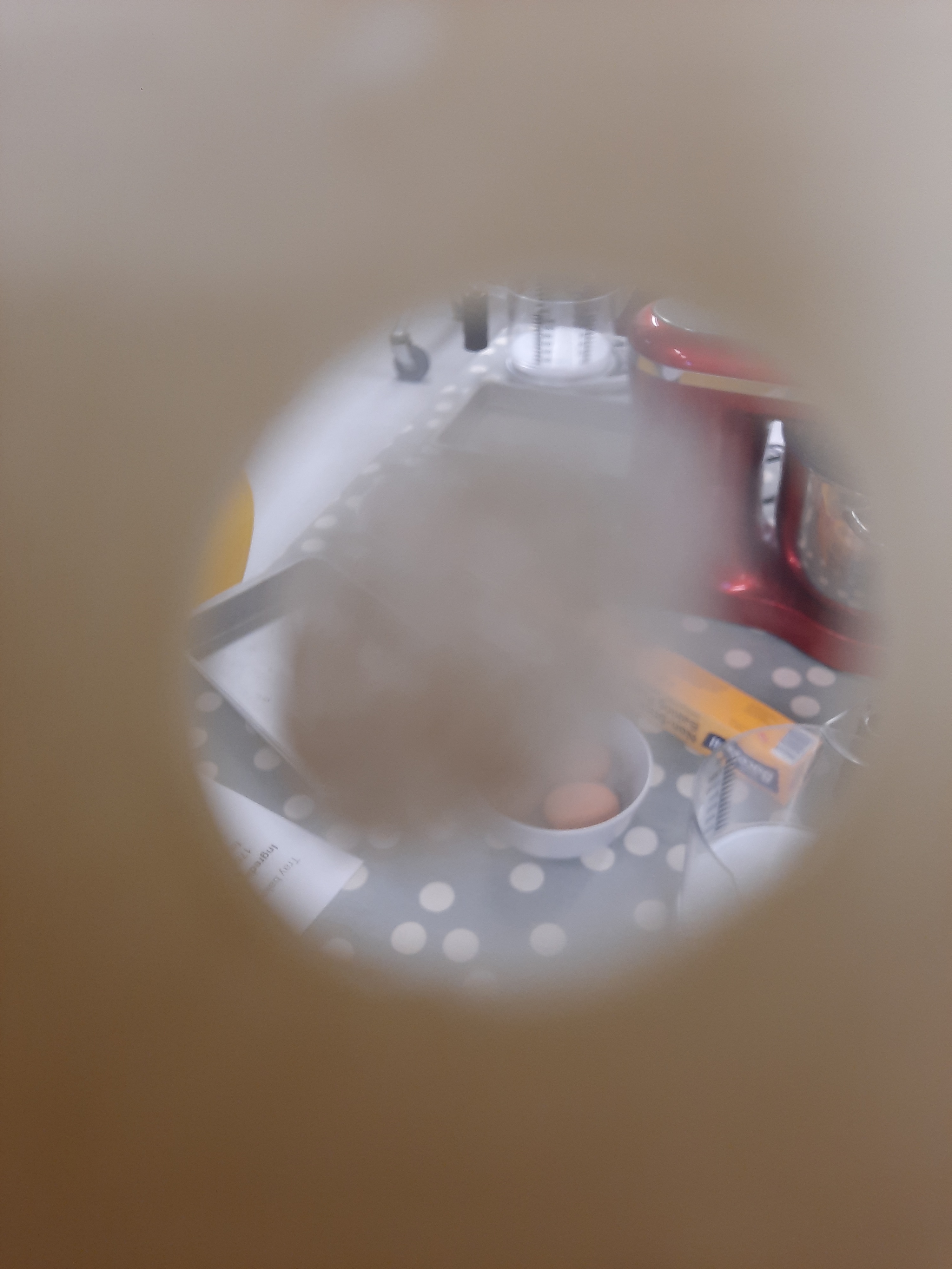 a photo taken through the sim specs showing how the sighted person's vision had been altered