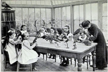 A Natural history class in 1902 with 7 young girls and a teacher sitting round a table with stuffed birds on the table