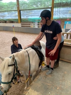 Equestrian adventures
